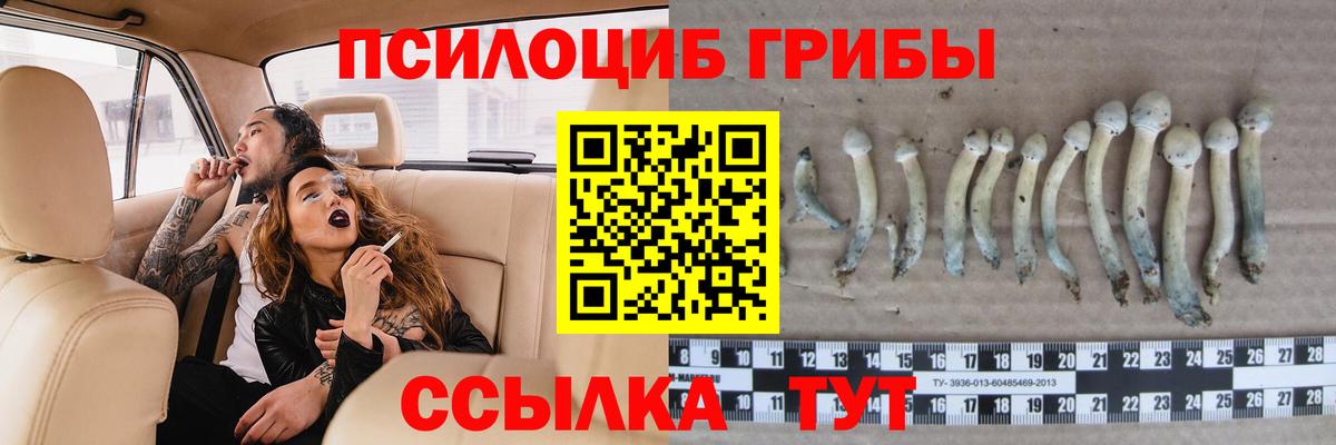 Галлюциногенные грибы MAGIC MUSHROOMS Ярцево