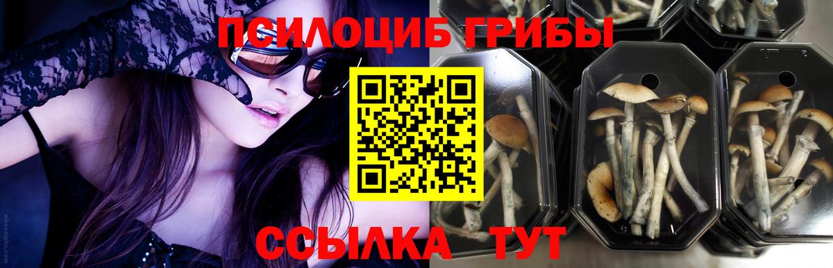 Галлюциногенные грибы мицелий  Галлюциногенные грибы GOLDEN TEACHER  Ярцево  Вход с VPN 